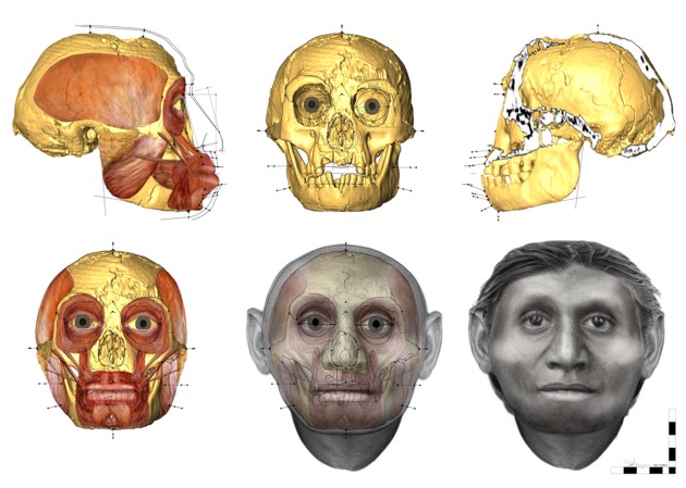 homo-floresiensis-hobbit-02.jpg