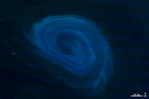 ciclone-vortice-sottomatino-nasa-01.jpg